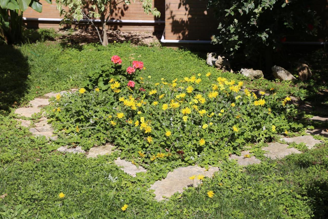 Bed and Breakfast Viro House Squinzano Zewnętrze zdjęcie